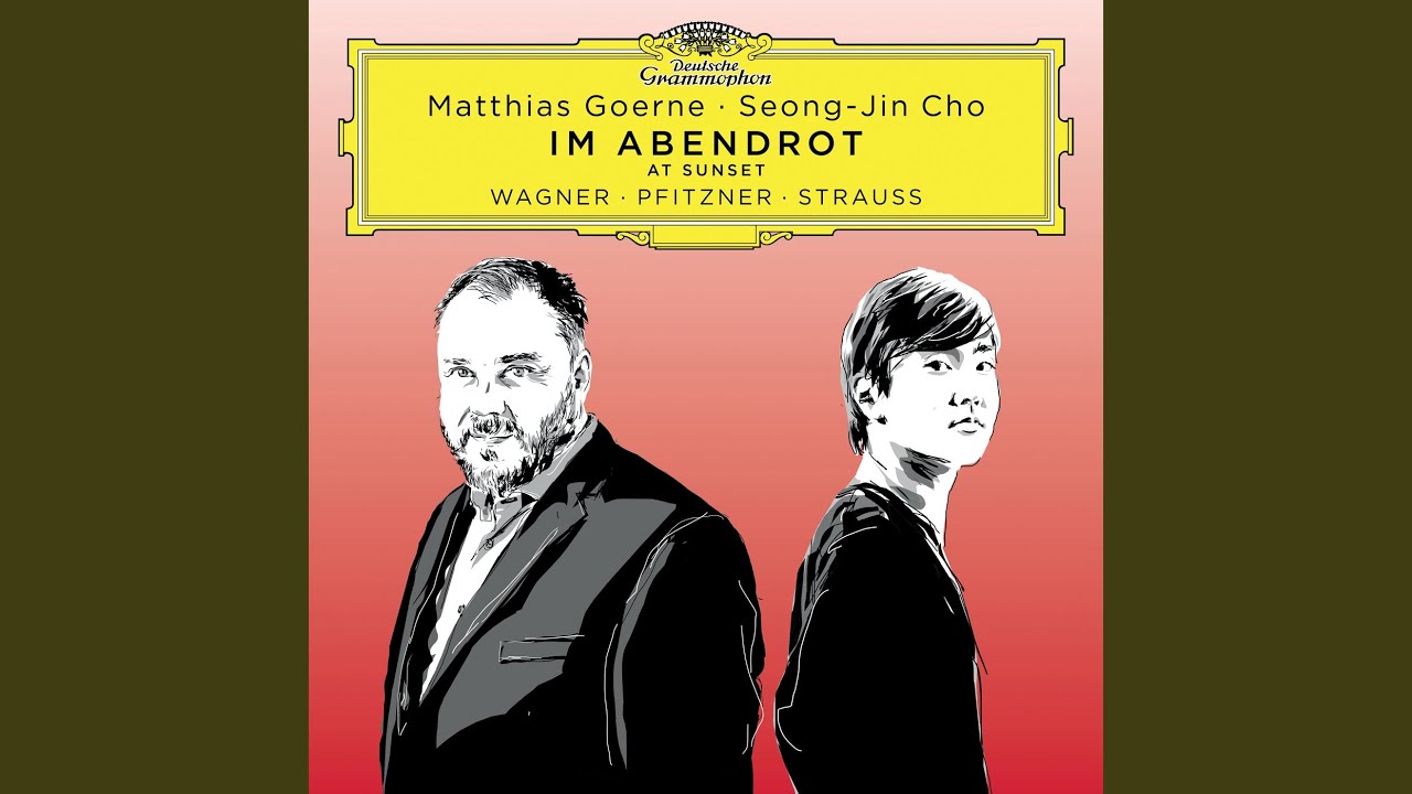 Pfitzner: Fünf Lieder, Op. 26: II. Nachts