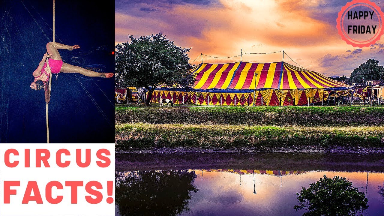 Circus Fun Facts