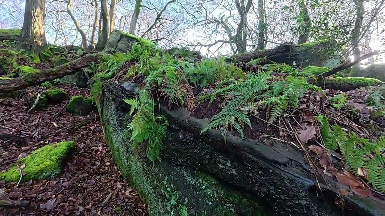 The Buck Stone, Herefordshire
