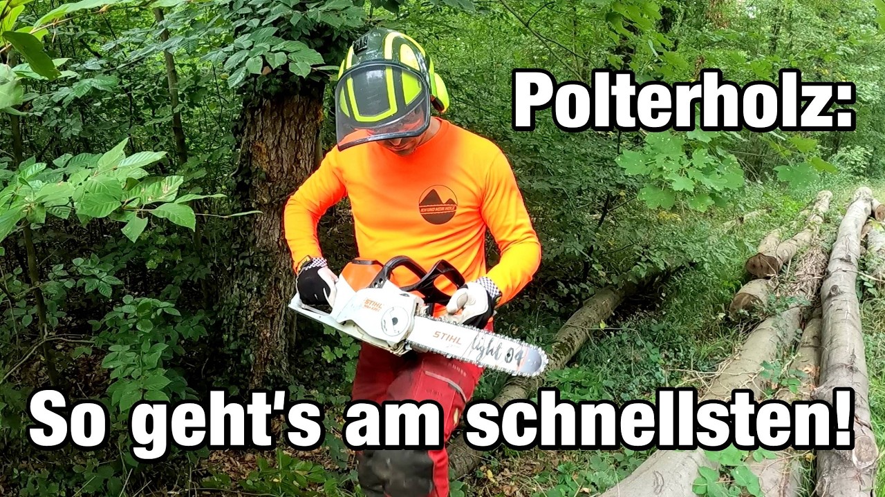 Brennholz selber machen | Buche am Polter #1 | 19 Meter Buche sägen