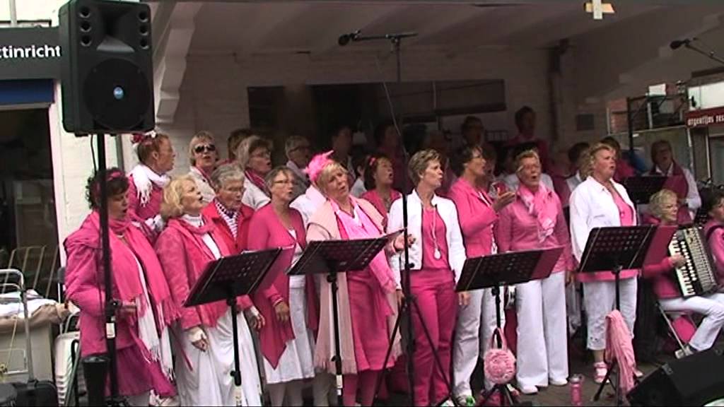 Smartlappenkoor Smart en Zo op het Grachtenfestival 2012 in Meppel