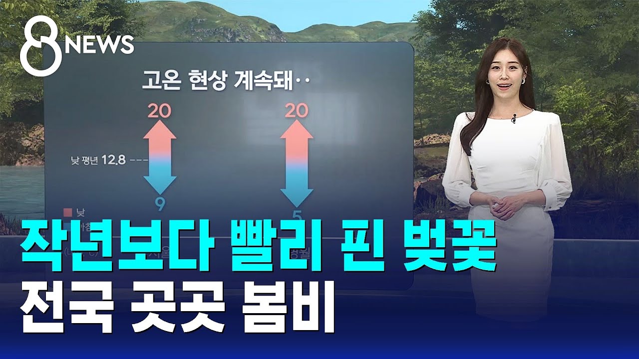 [날씨] 작년보다 빨리 핀 벚꽃&hellip;전국 곳곳 봄비 / SBS 8뉴스