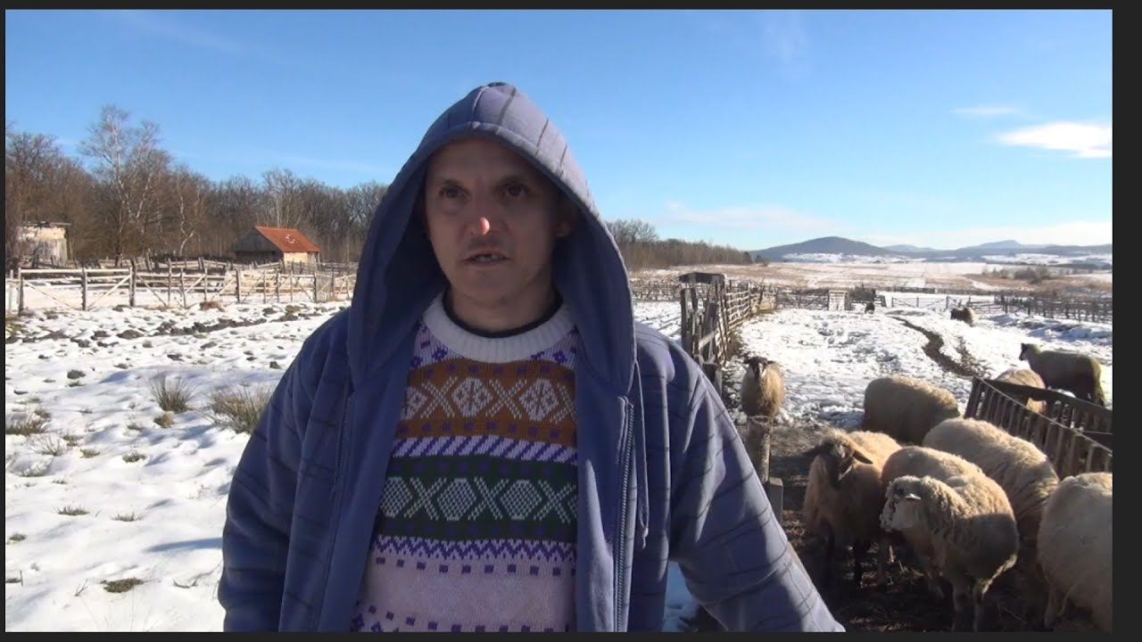 Mene bi bilo stid sjediti skrstenih ruku,mogao sam zivjeti u gradu al' necu...