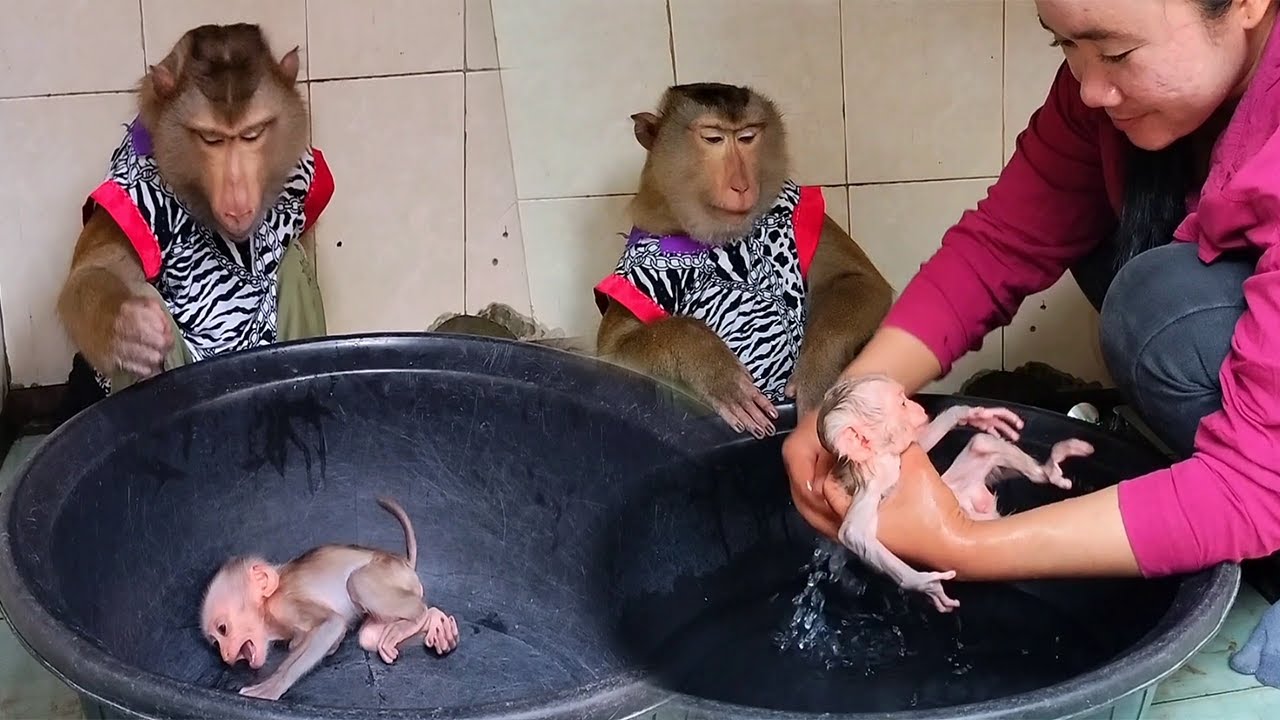 Great Mother And SokYaa Bath Baby Sokhaa Will MELT YOUR HEART