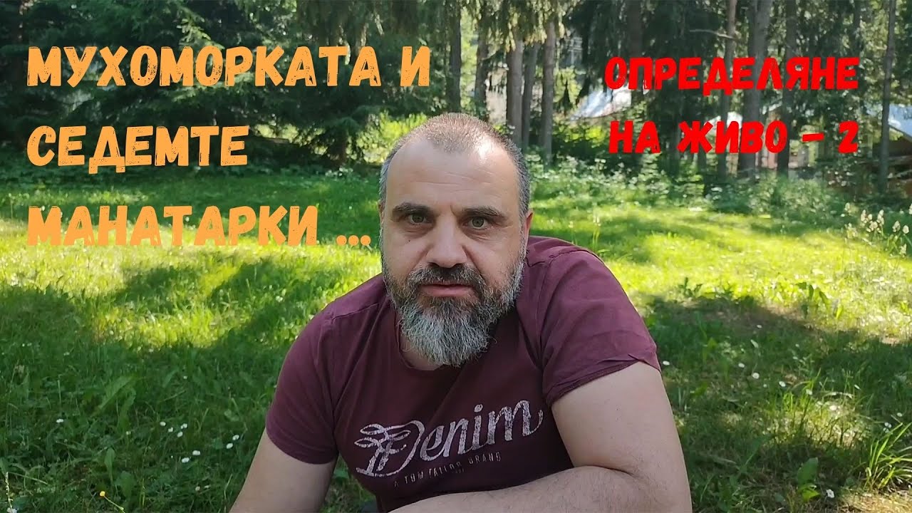 Седем манатарки и още нещо - определяне на живо 2