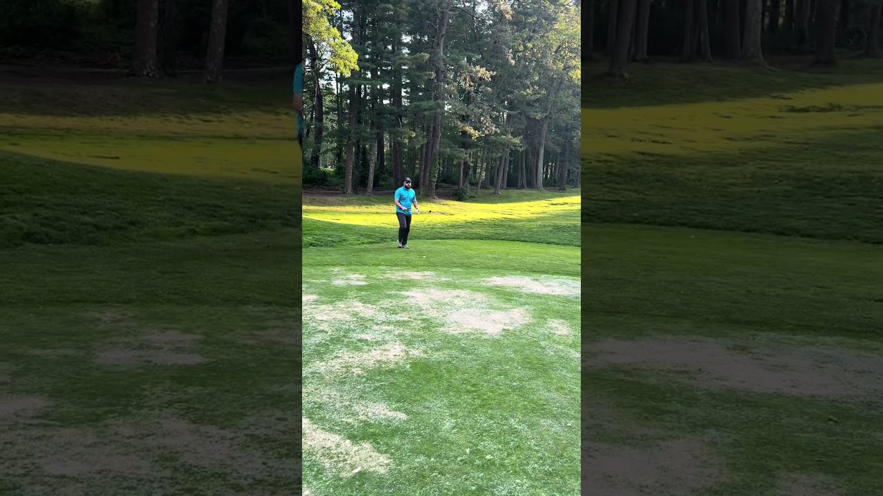 How to Double Bogey a Par 3 Like a Pro. #noobsplaygolf #golfer #golf #pgagolfer #professionalgolfer