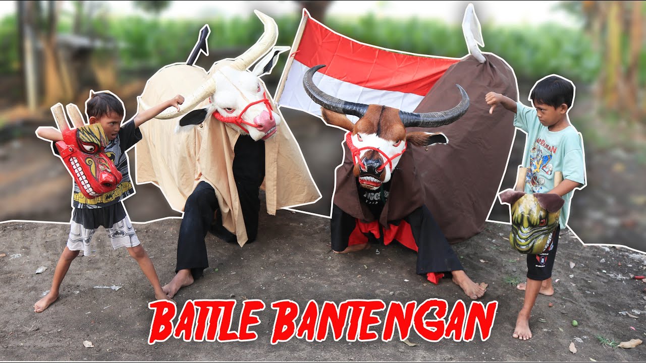 film pendek | BWOCIL LOMBA AGUSTUSAN BATTLE BANTENGAN KEBO BULE VS KEBO GIRO