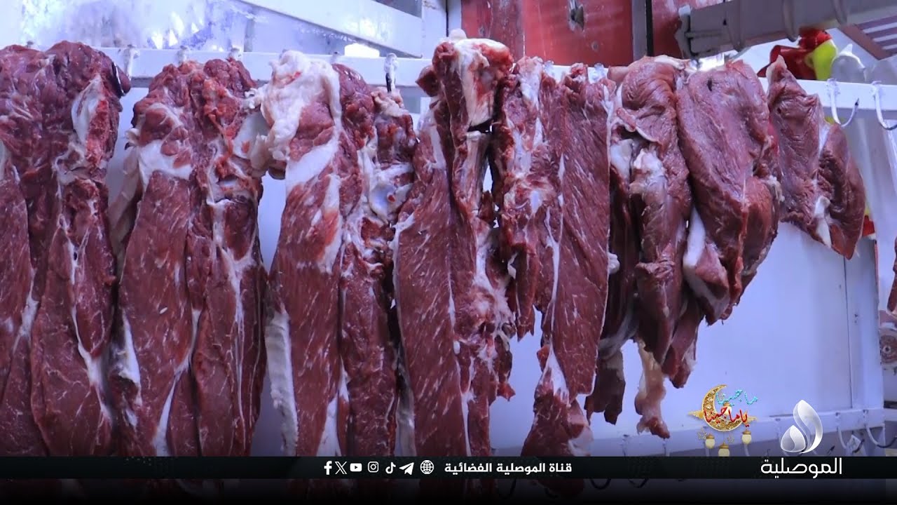 ماجينا يا ماجينا - الموسم السادس - الحلقة 8