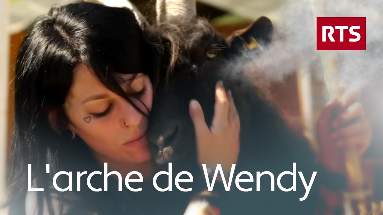 Wendy, une vie dédiée à sauver les animaux maltraités