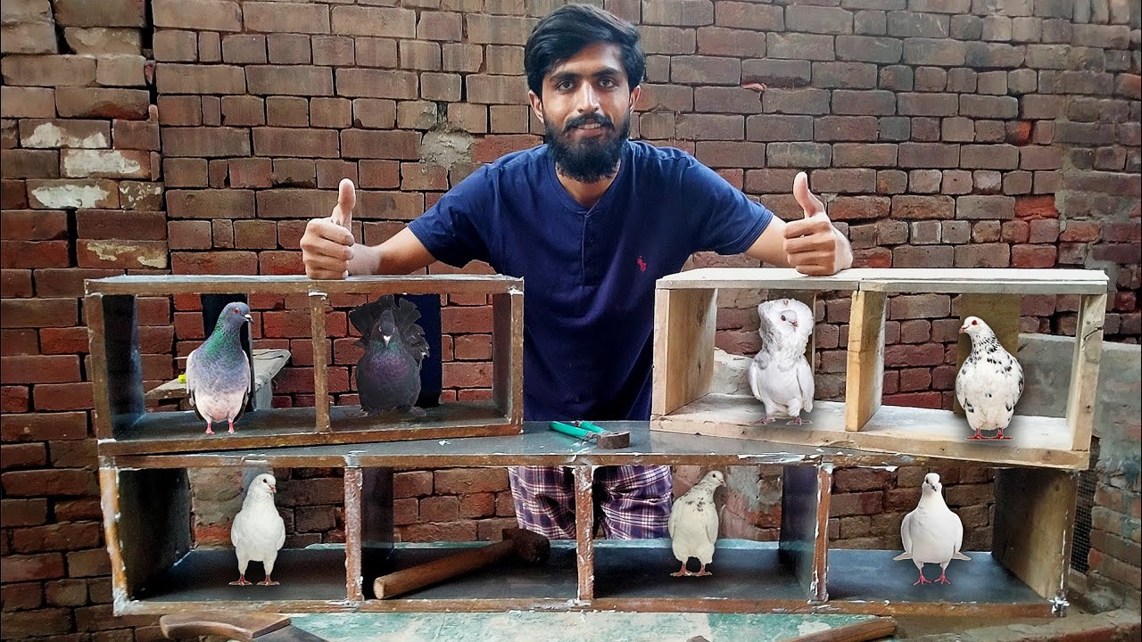 2 Days Build A Wooden Nest Box For Pigeon And Birds 🪵