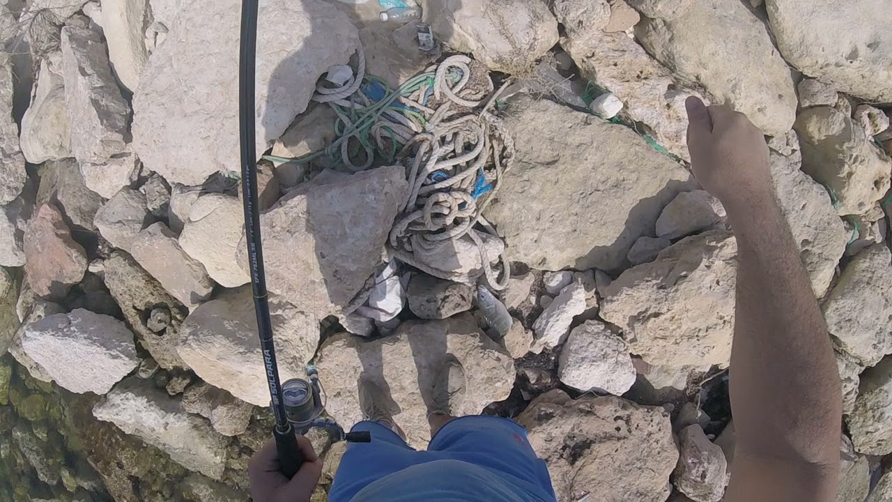 catching second  #Sobaity #seabream fish - Major Craft jig 10 g - 17/05/2021