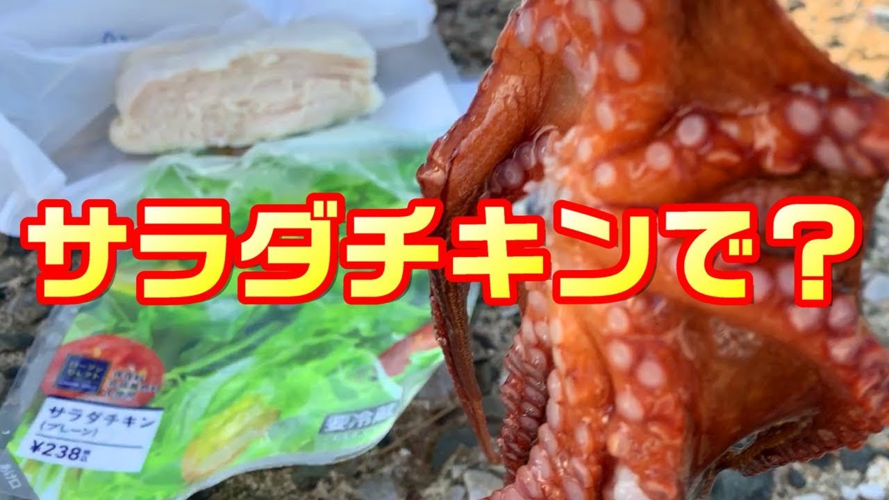 コンビニのサラダチキンでタコを狙ってみたら・・・