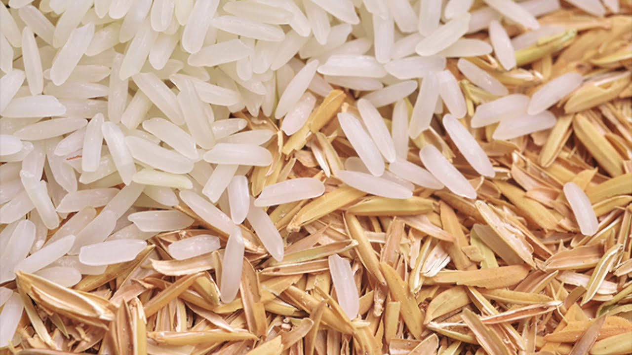 GREEN PRECIPITATED SILICA - BRISIL TECHNOLOGIES Pvt. Ltd.
