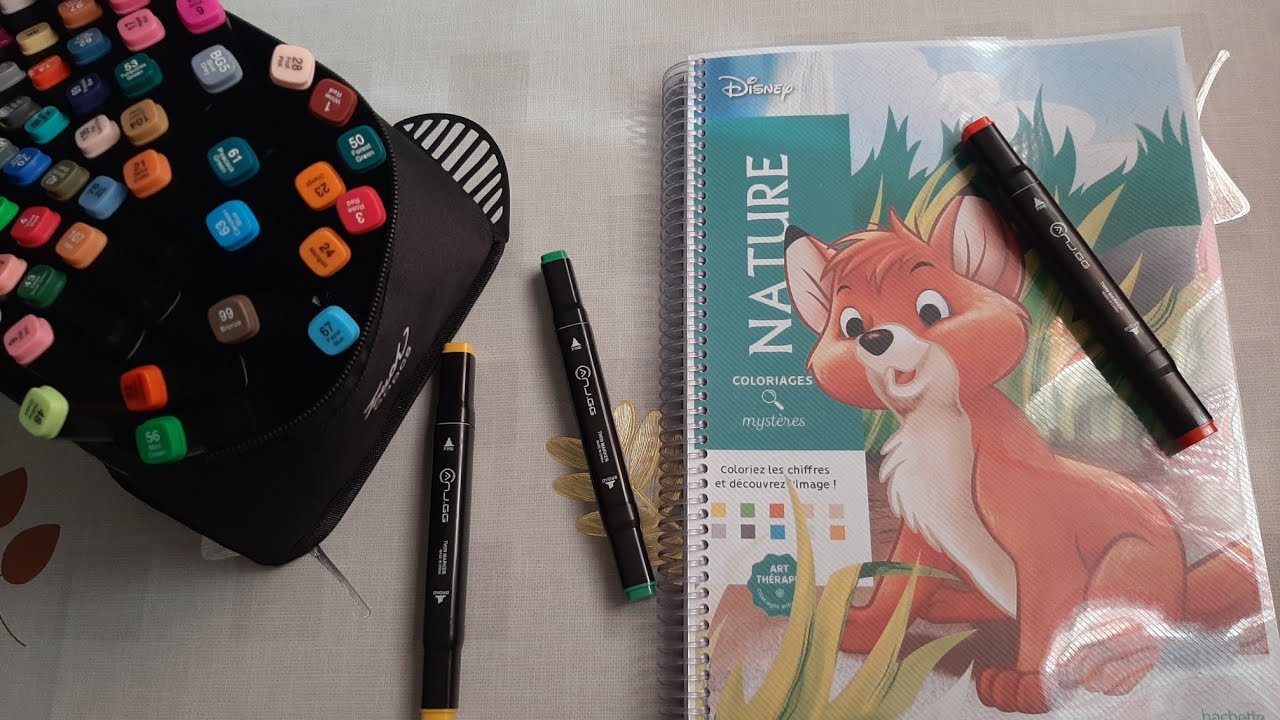 Chegou Meu Livro de Colorir Disney Mystery Nature 🦊