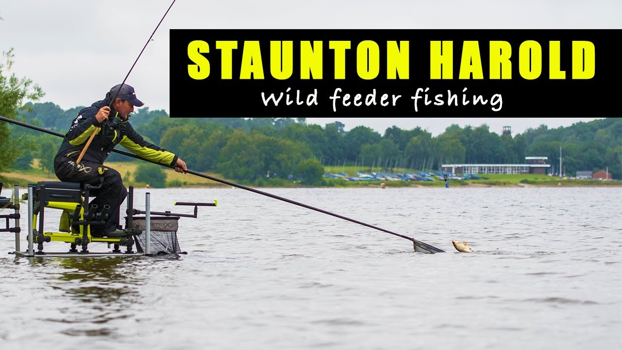WILD FEEDER Fishing at STAUNTON HAROLD - Match Fishing Session 2020