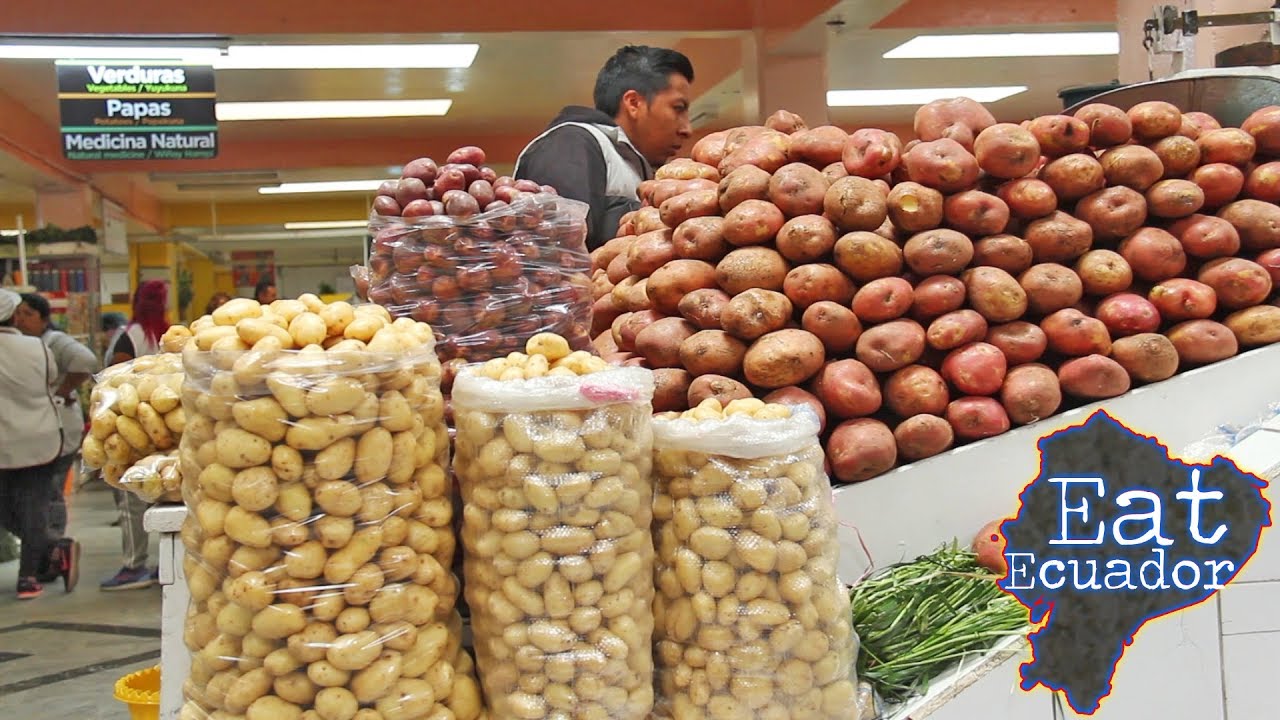 Potatoes in Ecuador - 350 VARIETIES & 4 Potato Dishes to Try | Where to Eat in Quito