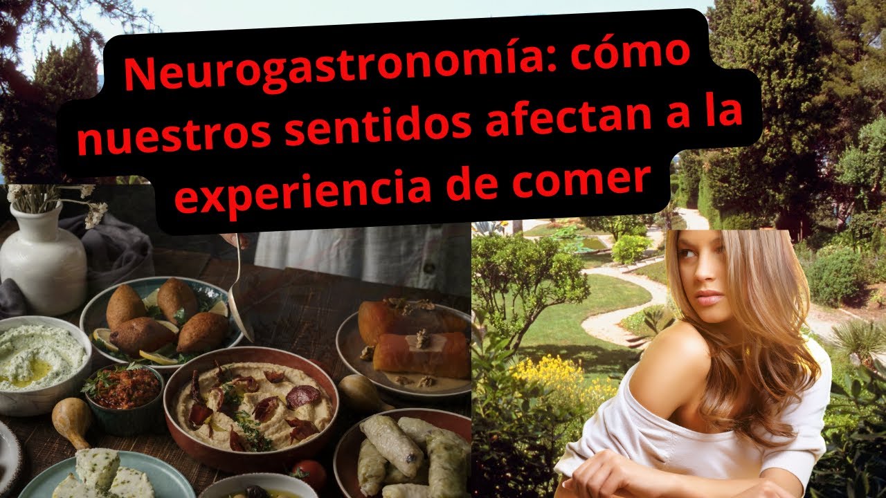 &iquest;Sab&iacute;as Que Tus SENTIDOS Afectan a Tu Experiencia de Comer? Neurogastronom&iacute;a EXPLICADA!
