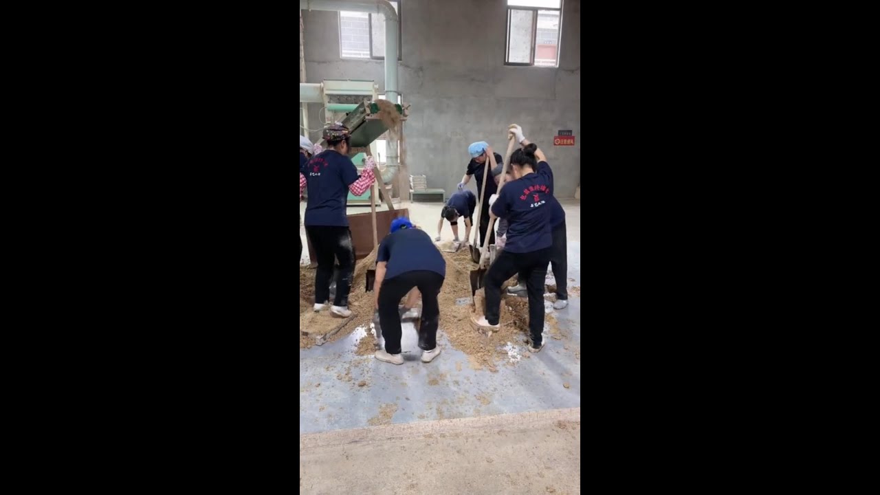 LIVE | Raw Qu Making in a Chinese Liquor Workshop | Street Food Ingredients