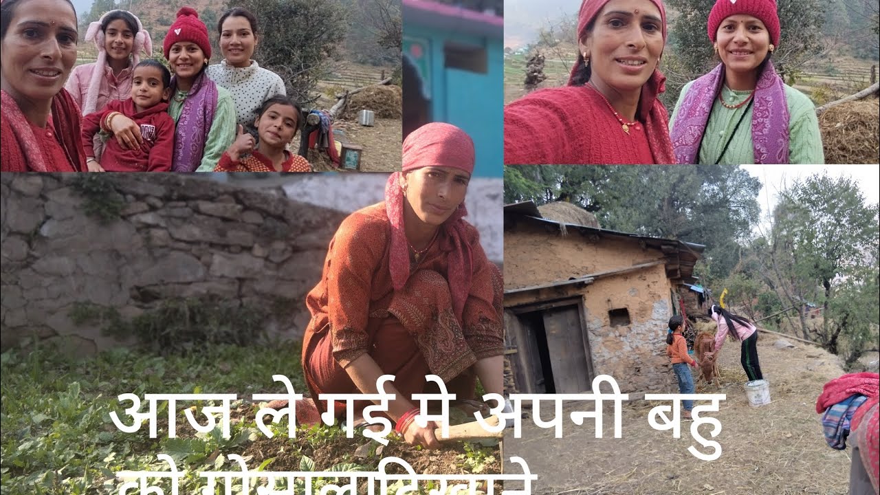 आज दिखाने ले गई बहु को गोसाला