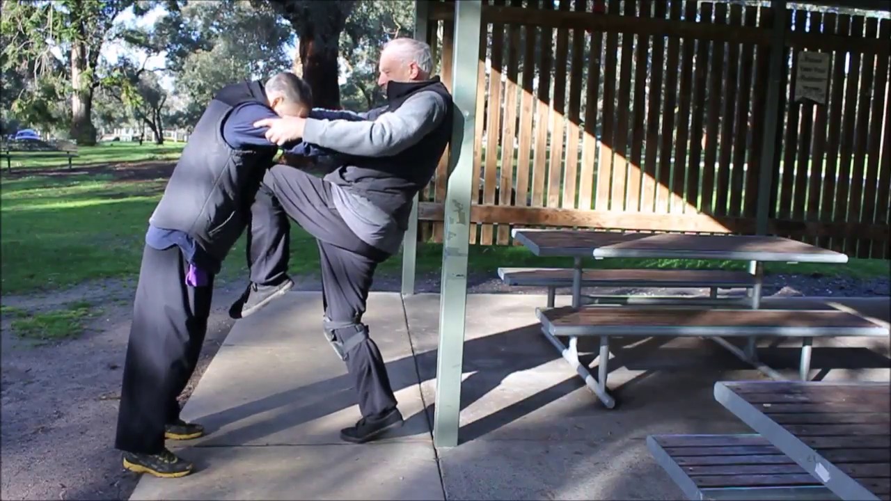 OzCane - Alternative Execution of the Knee Strike