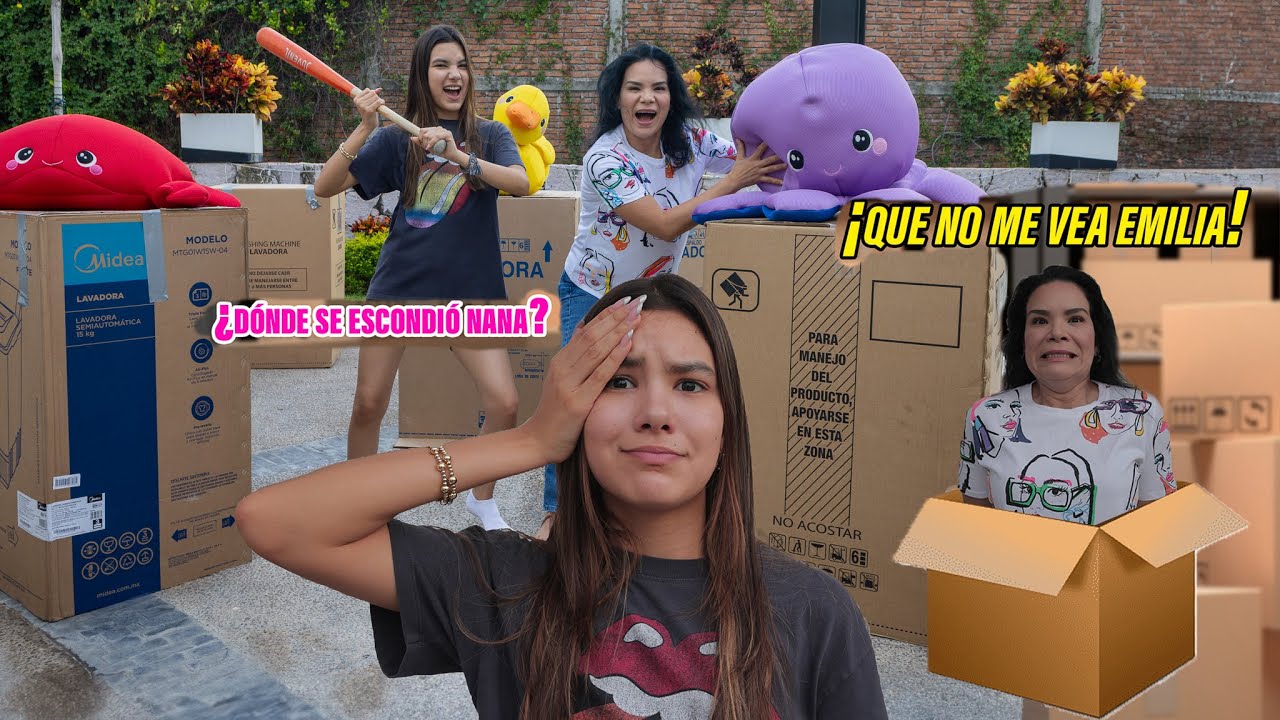 ESCONDIDAS EN CAJAS CON ANIMALES FANTASTICOS | AnaNANA TOYS