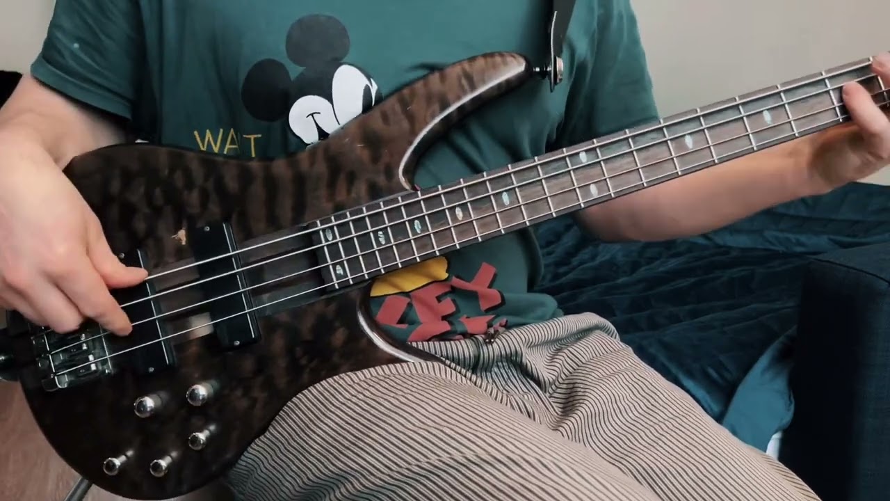 Ibanez sr 900