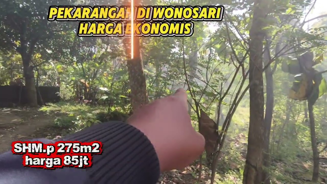 Tanah pekarangan di Wonosari dapat hook jalan 