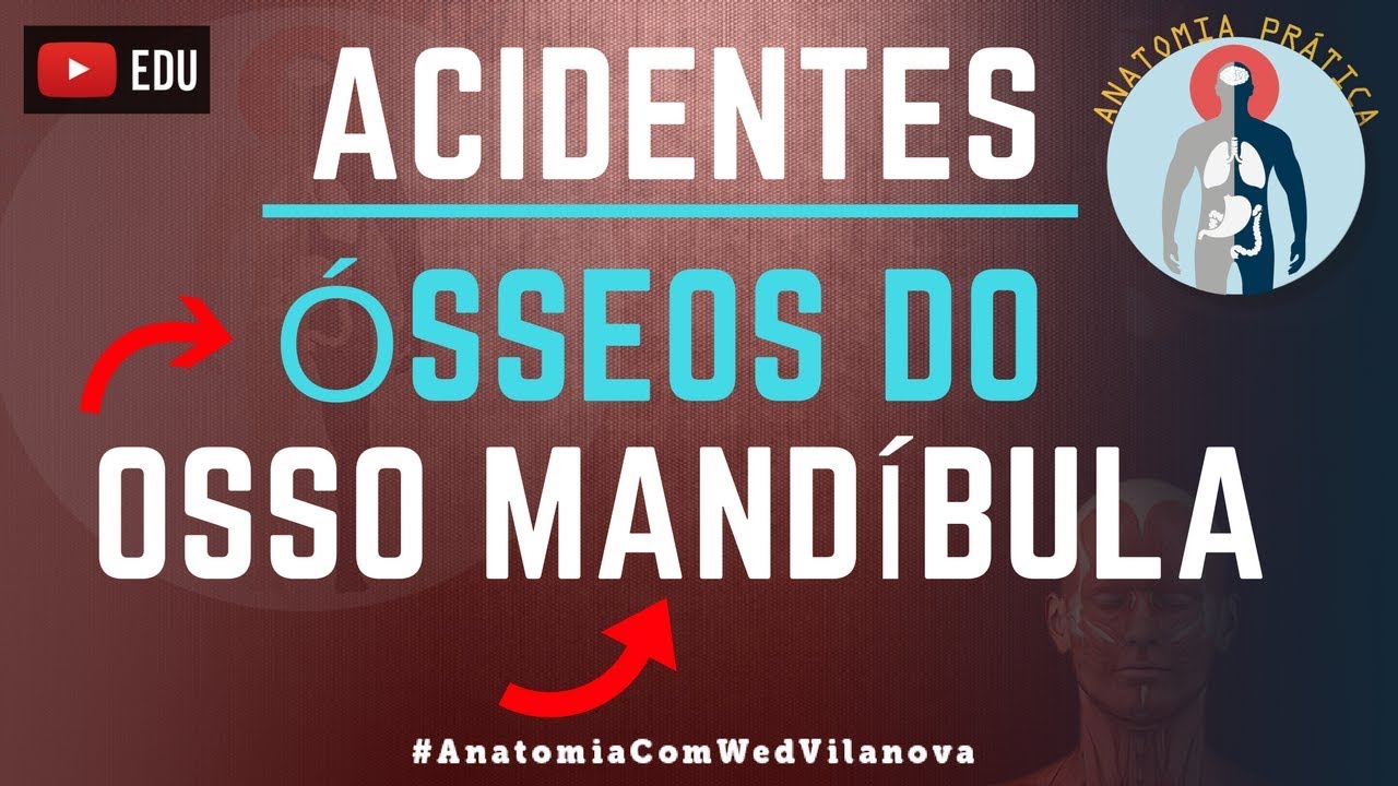 Osso Mandíbula ACIDENTES ÓSSEOS! Quais são❗❓DESCUBRA AQUI❗ [Anatomia Prática]