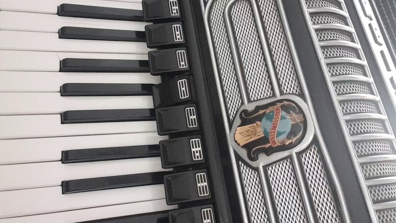 Weltmeister Supita for sale