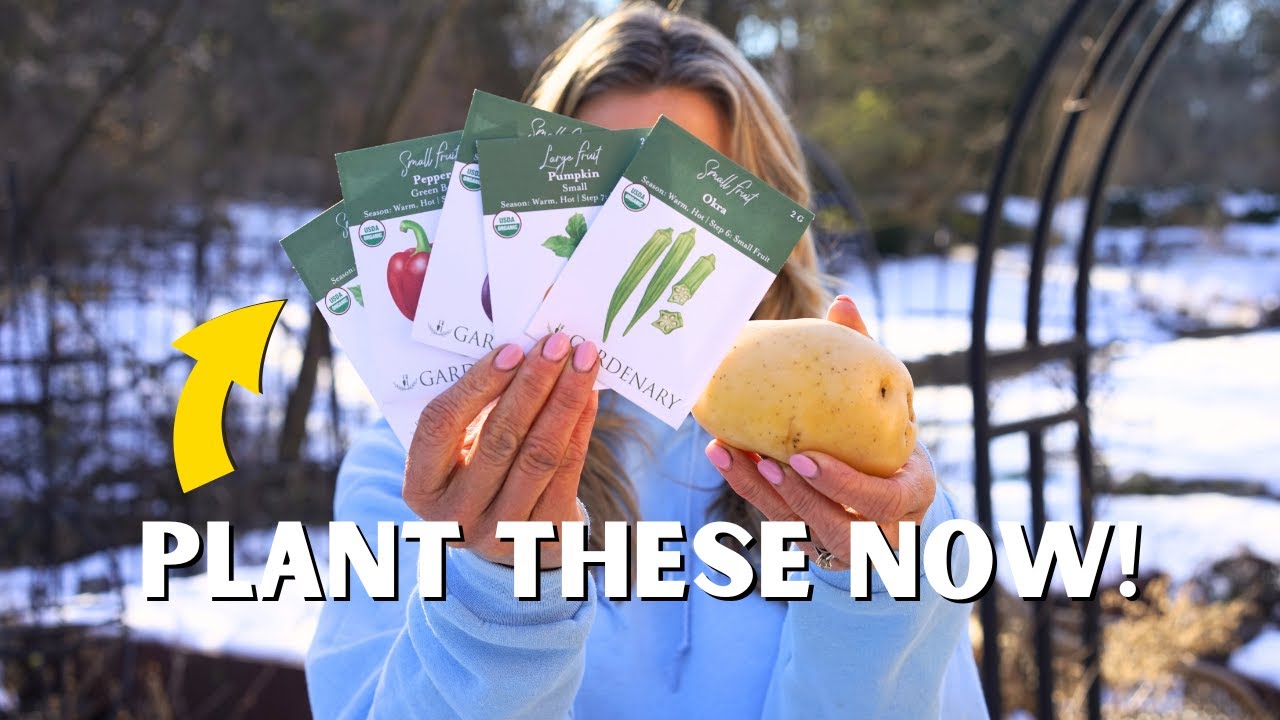 What to Plant in February (Cold, Mild, Warm Climates)