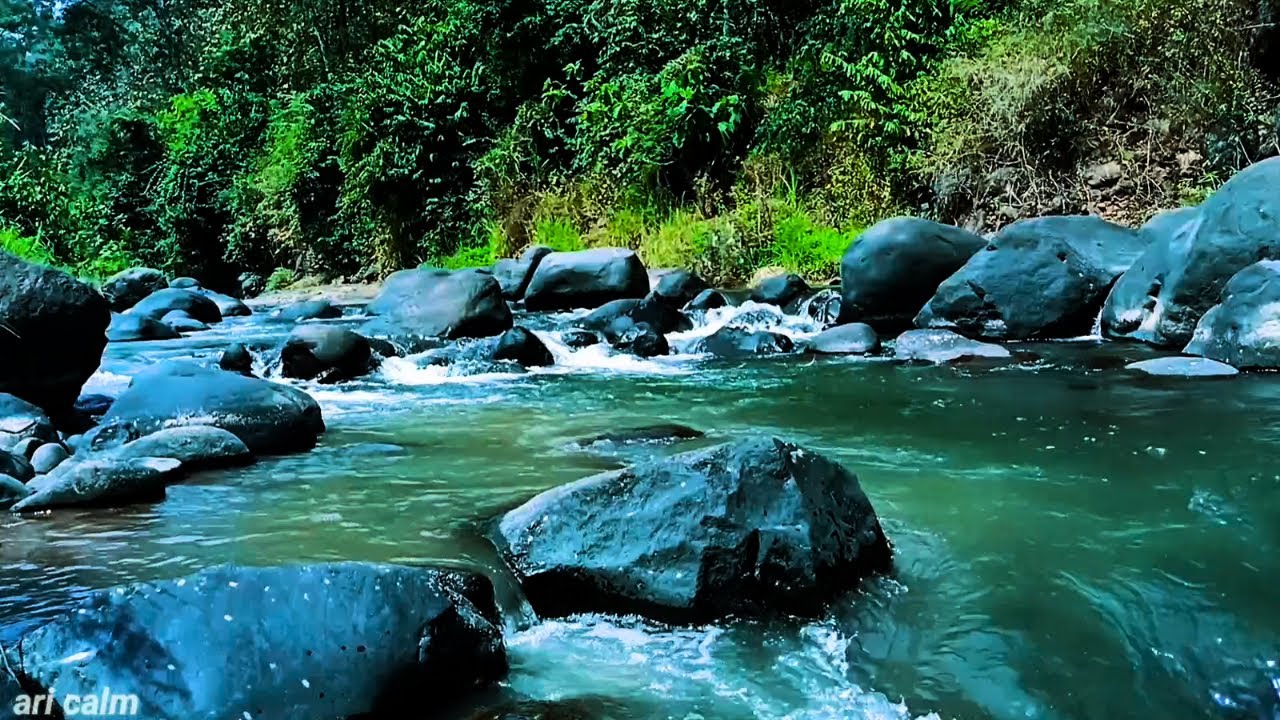 Calm Your Mind Instantly with Peaceful River Stream & Natural Forest Ambience #15