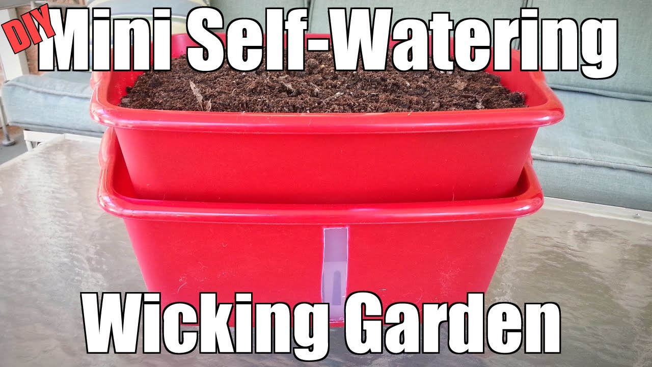 DIY Mini Self-Watering Wicking Garden