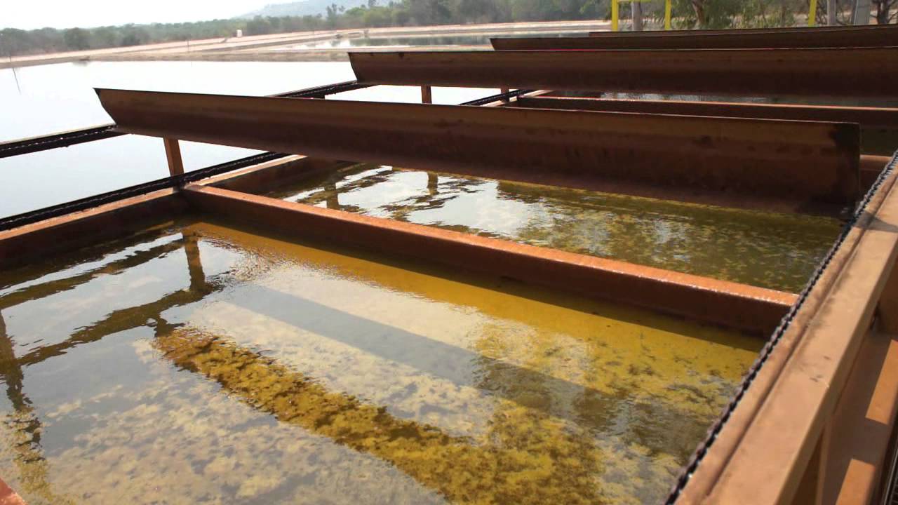 Post treatment of stabilization pond effluent by dissolved air flotation