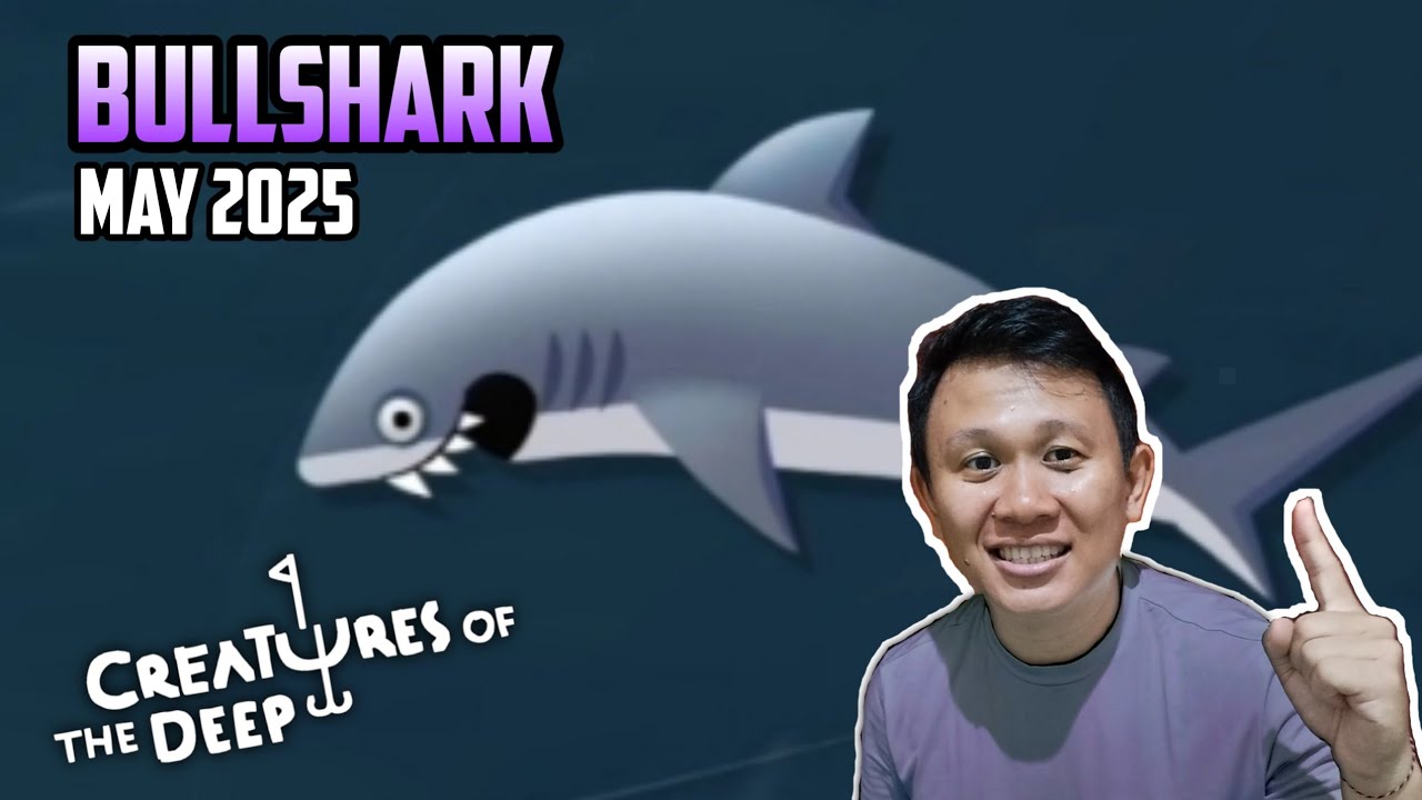 EASY SPOT FOR BULLSHARK❗
