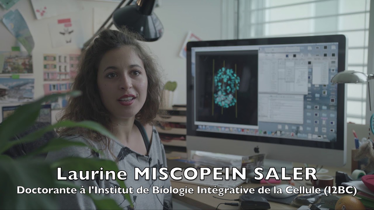 Préparer un doctorat à l'Institut de Biologie Intégrative de la Cellule (I2BC)