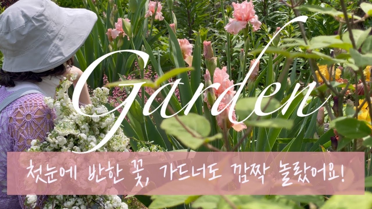[Garden] 첫눈에 반한 꽃, 가드너도 깜짝 놀랐어요! | 초보자도 쉽게 키우고 번식시키는 정원 꽃 추천
