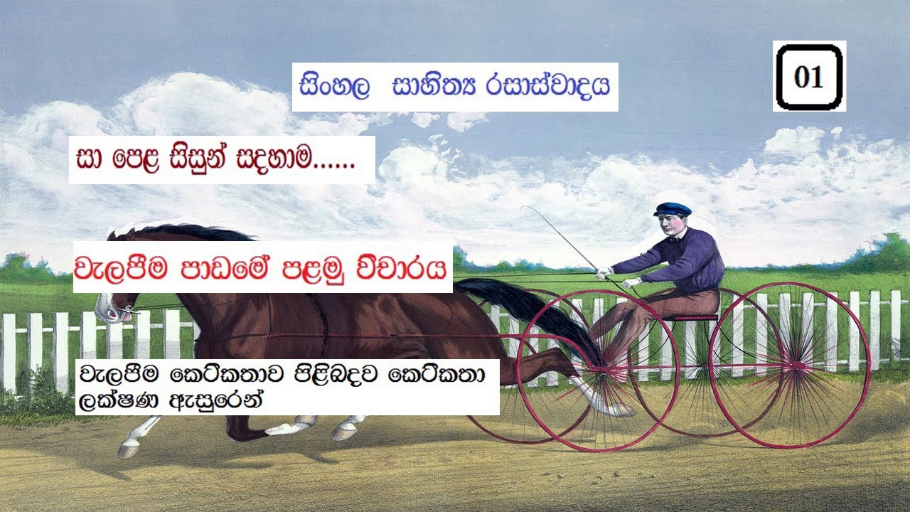 Sinhala vichaara  Walapeema || Sinhala sahithya rasaswadaya o/l ||sinhala new syllabus o/l/walapeema