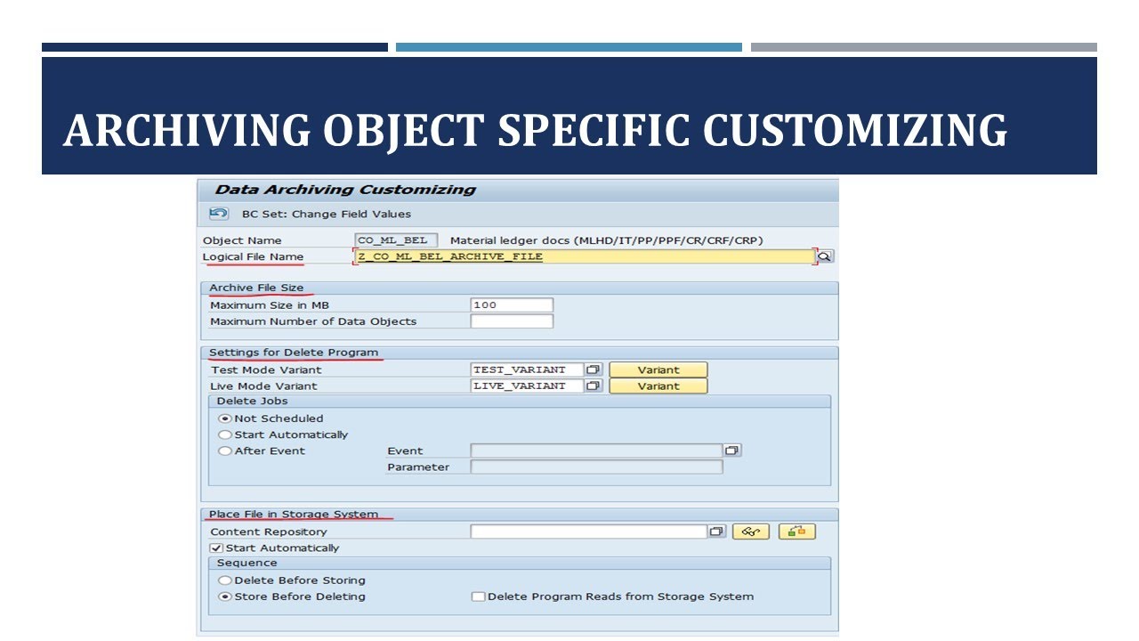 SAP DATA ARCHIVING  - PART 3 - ARCHIVING OBJECT SPECIFIC CUSTOMIZING