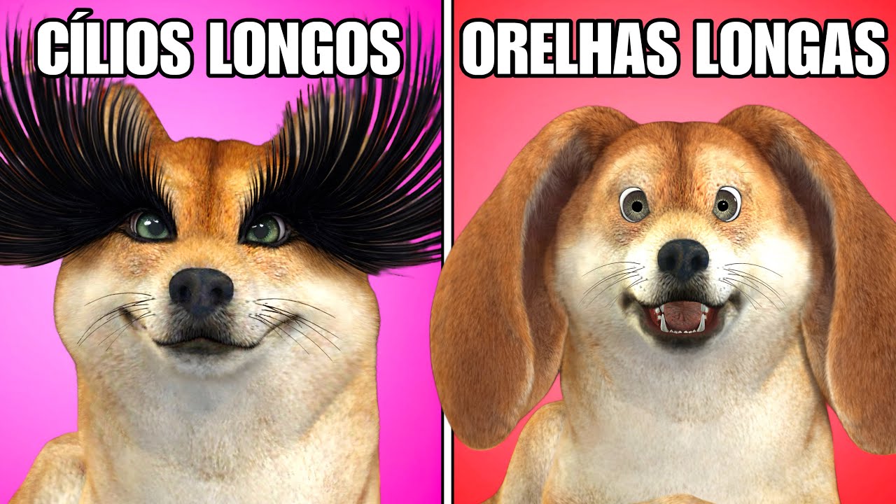 O QUE VOCE PREFERE...? MAS REALMENTE ACONTECE!