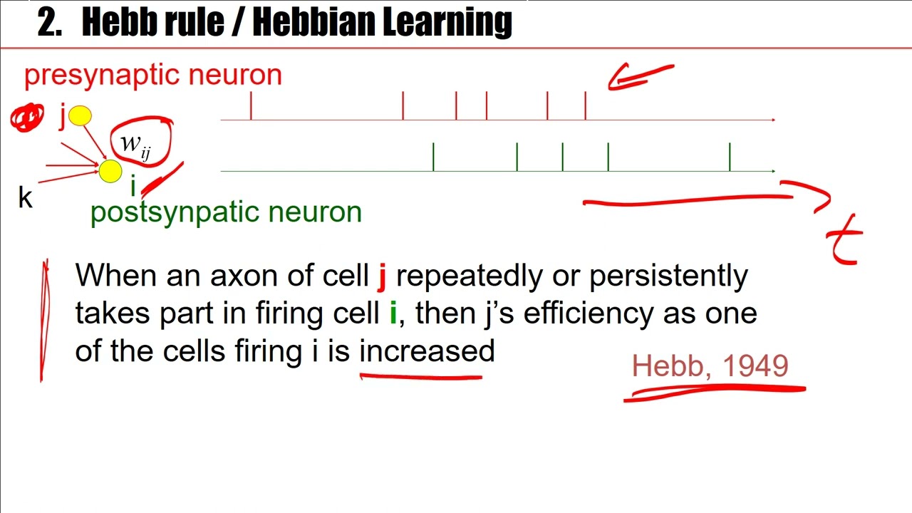 Synaptic Plasticity and Learning in the Brain