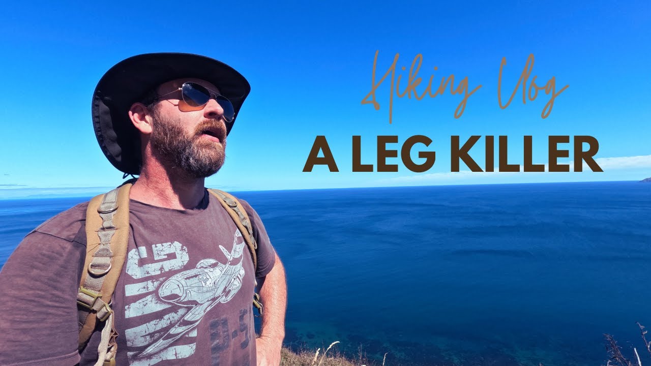 Flying Kiwis NZ VLOG🥝｜ Epic Hike on The Escarpment Track 🌄｜A leg killer 🥾｜Paekākāriki - Pukerua Bay