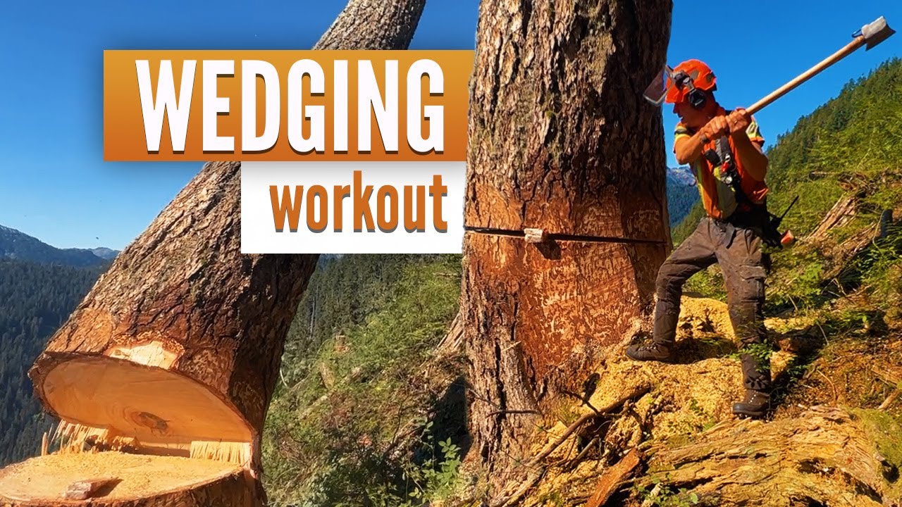 Pushing 3 large trees | Wedging, Bucking & Favorite boots