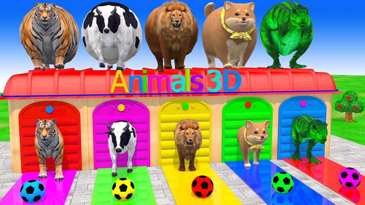 Long Slide Game With Cow Elephant Gorilla Hippopotamus Tiger 3d Animal Game Funny 3d Animals