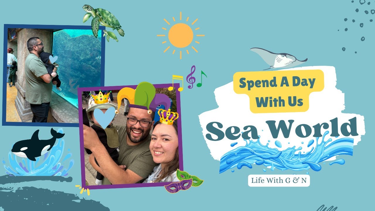 Spend A Day With Us At Sea World