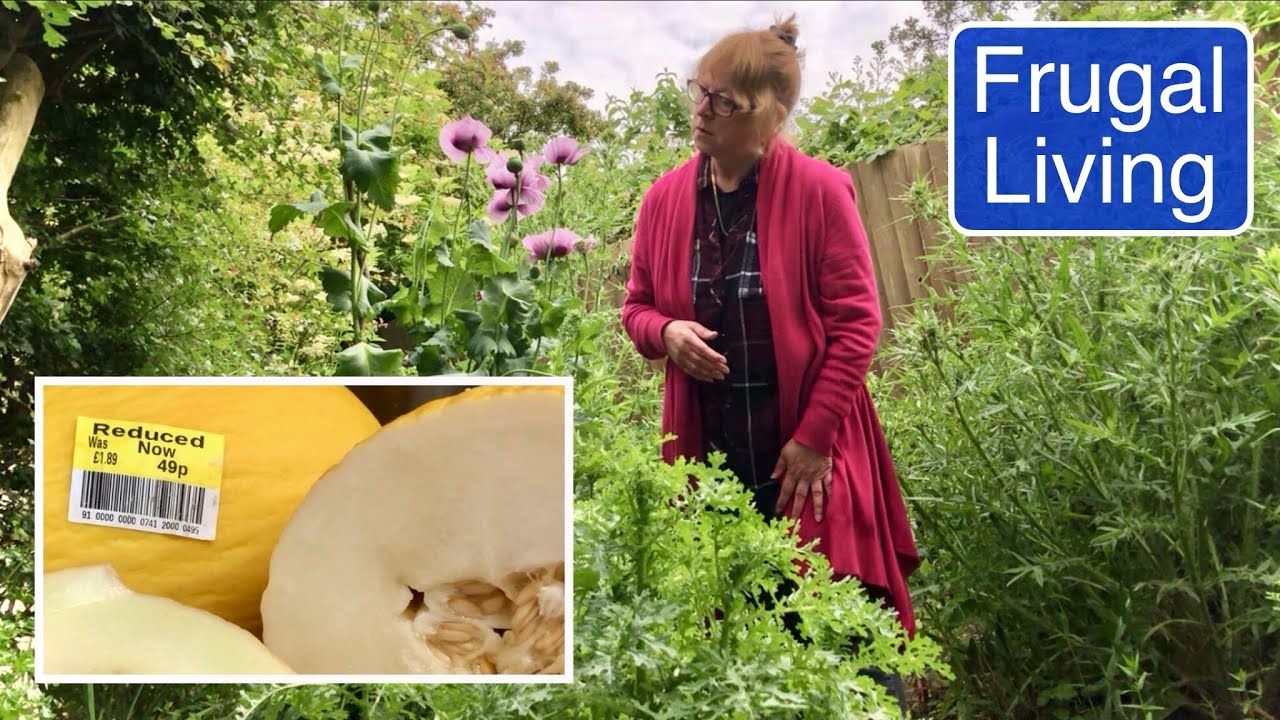 GREAT DEALS  | THE BEST STEAK PIE ! | CONTAINER GARDENING | FRUGAL LIVING VLOG