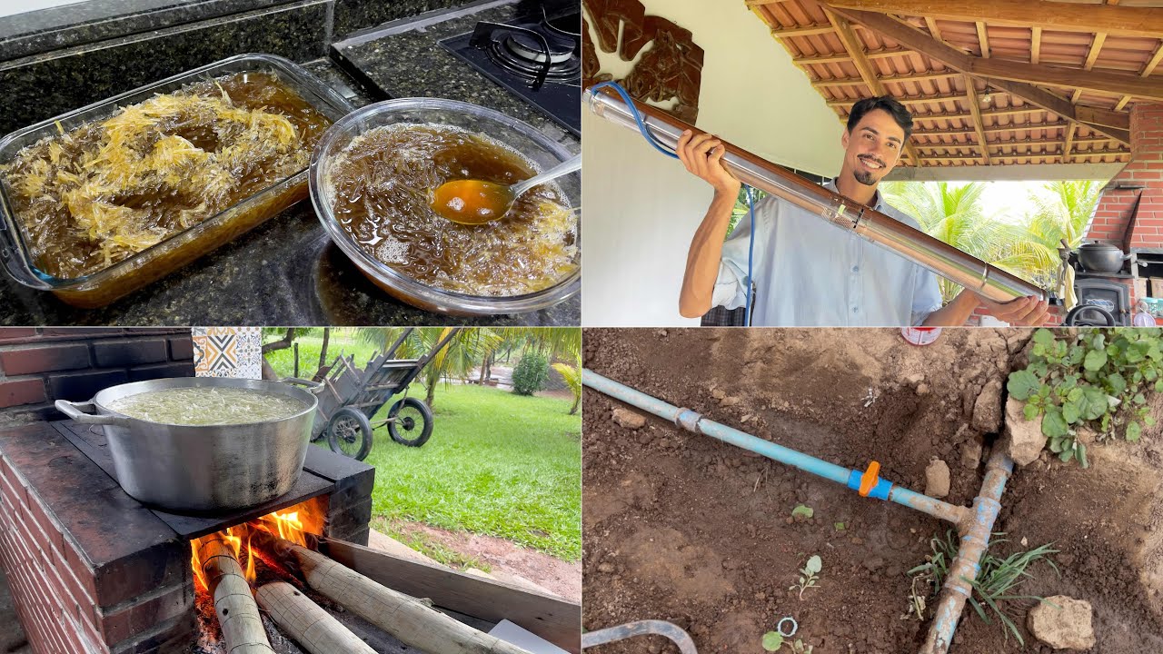 Por aqui o serviço não para/ Comecei a fazer os reparos da irrigação/ ￼ Fiz doce de mamão