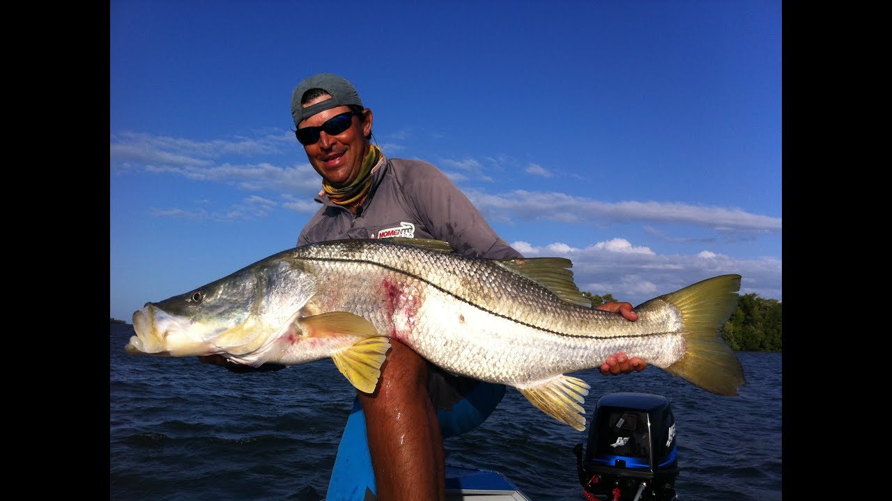 MEU RECORD DE ROBALO GIGANTE FLECHA