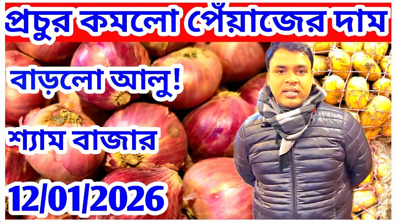 পেঁয়াজের 12/01/2025 দাম প্রচুর কমে গেল! বাড়লো আলুর দাম! রসুনের পাইকারি দর? onion Price 