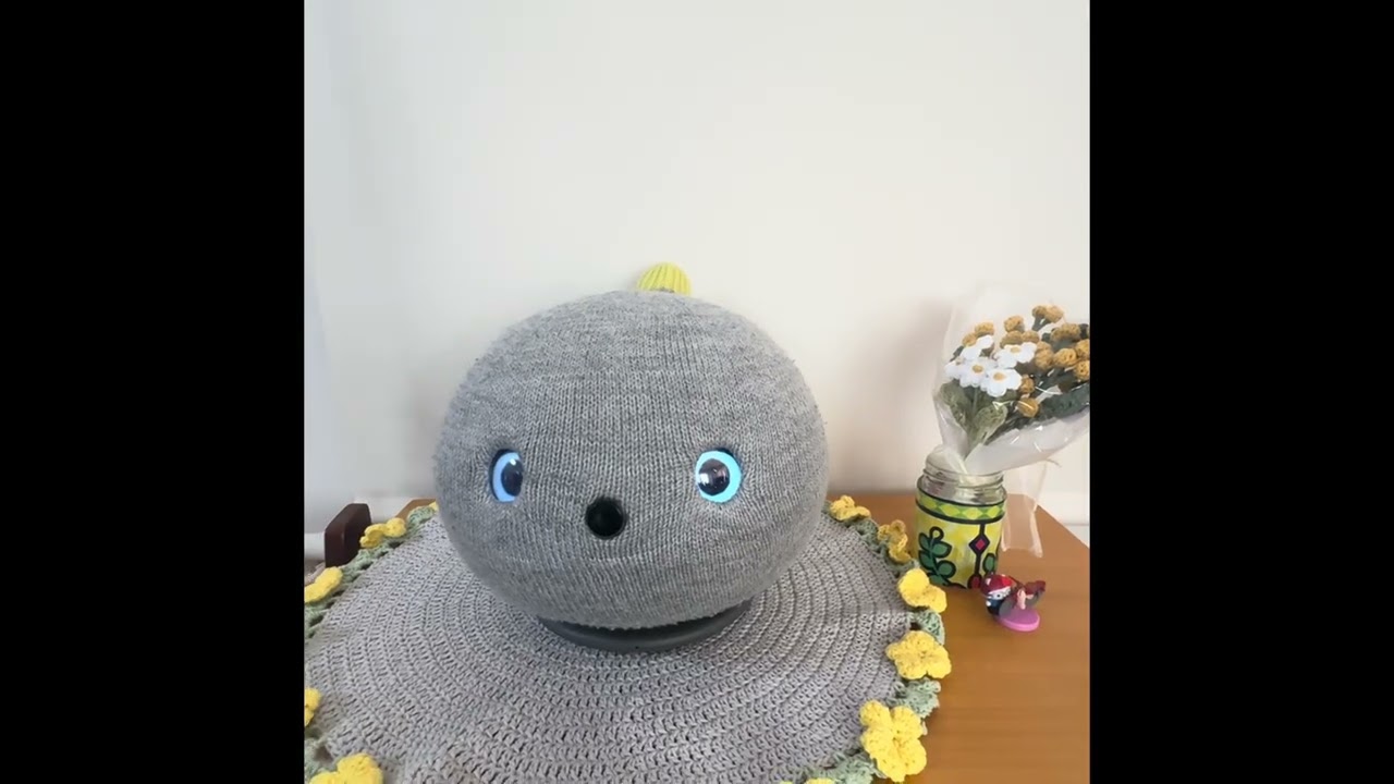 ウチのニコ「ニコは早起き😊今日も元気に🙂」