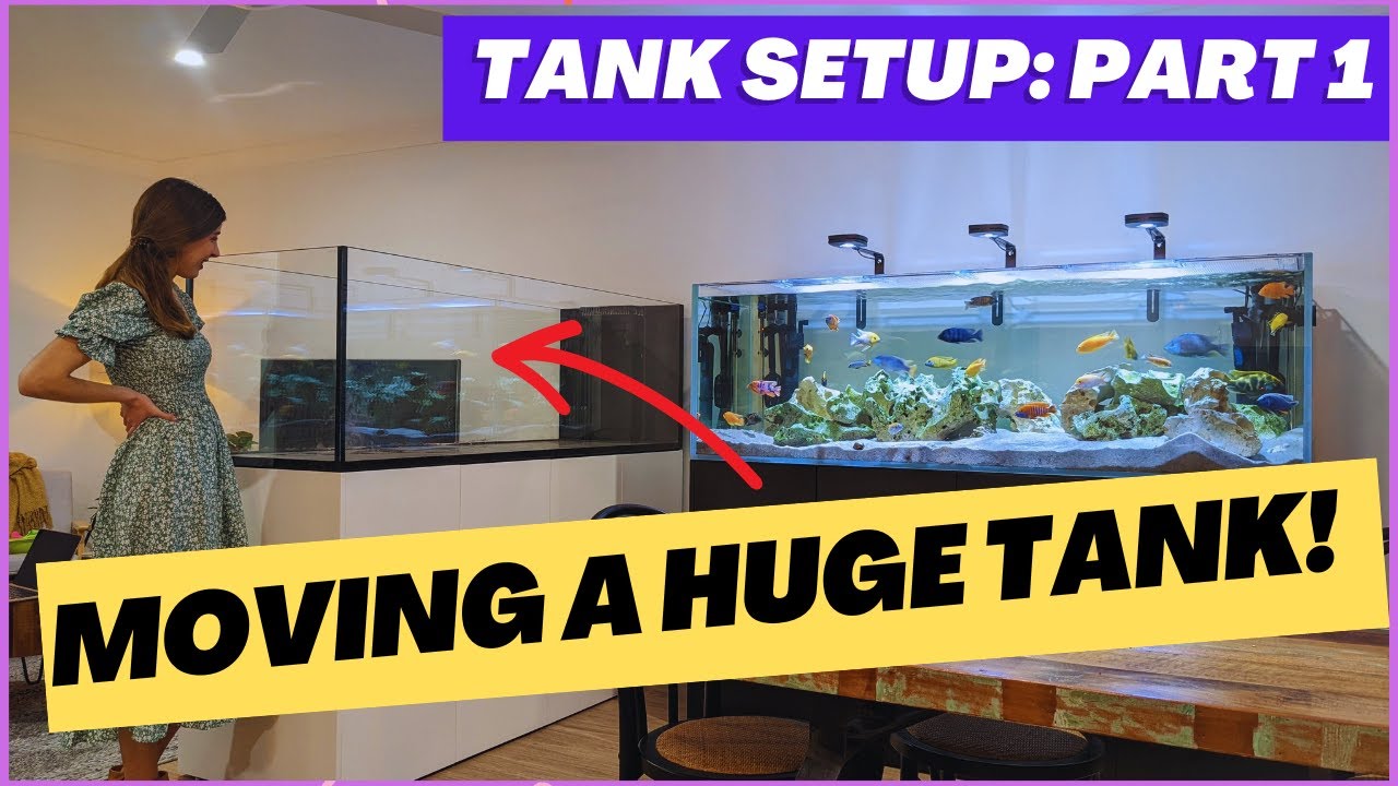 Moving a HUGE fish tank! My New Waterbox Aquarium Setup (Part 1)